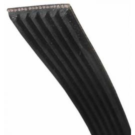 COURROIE: NEUF C00072399 POUR SECHE LINGE CANDY